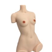 175Torso Cinnamon7