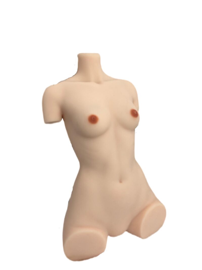 175Torso Cinnamon7